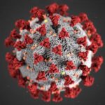 coronavirus -COVID19