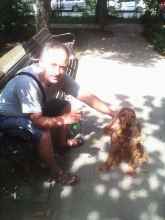 ovidiu1963's picture