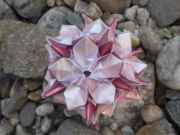 Sandr1na89's picture