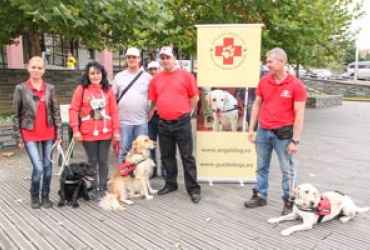 caine ghid pt nevazatori gratuit de la Angel Dog