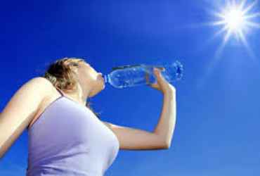 tecomandari canicula