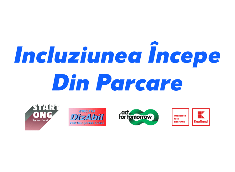 Incluziune DizAbil Pentru Sanse Egale